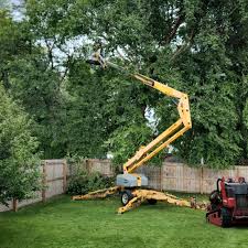 Best Tree Health Inspection  in La Grange, NC